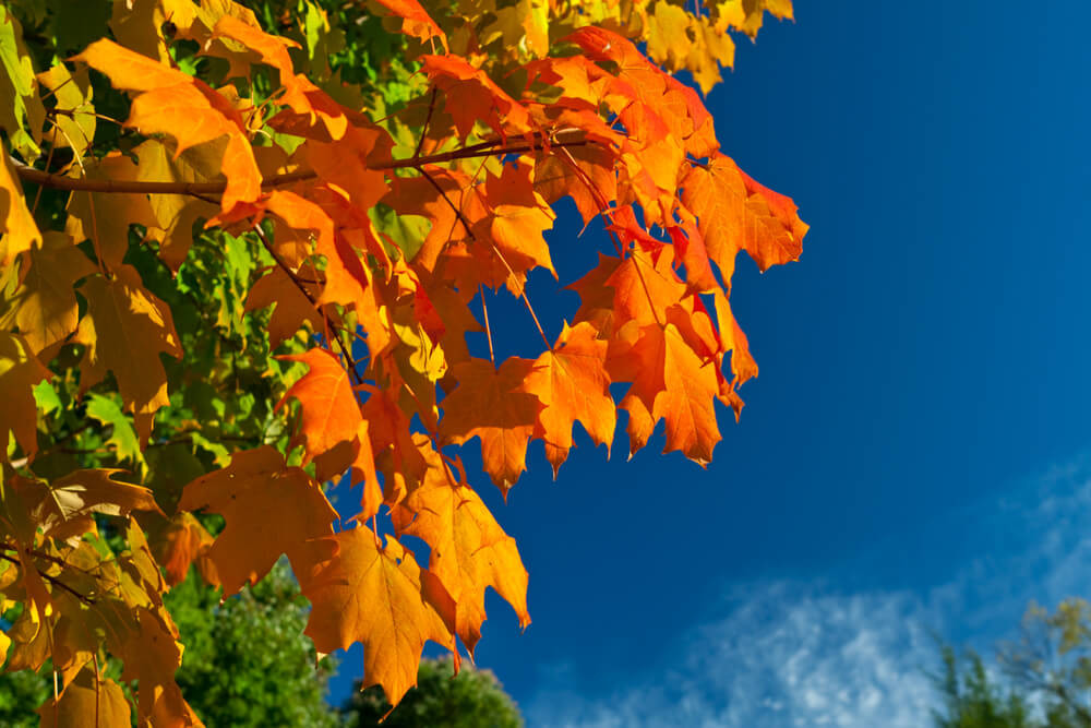 7 Ways to Enjoy Your Hot Tub in Autumn